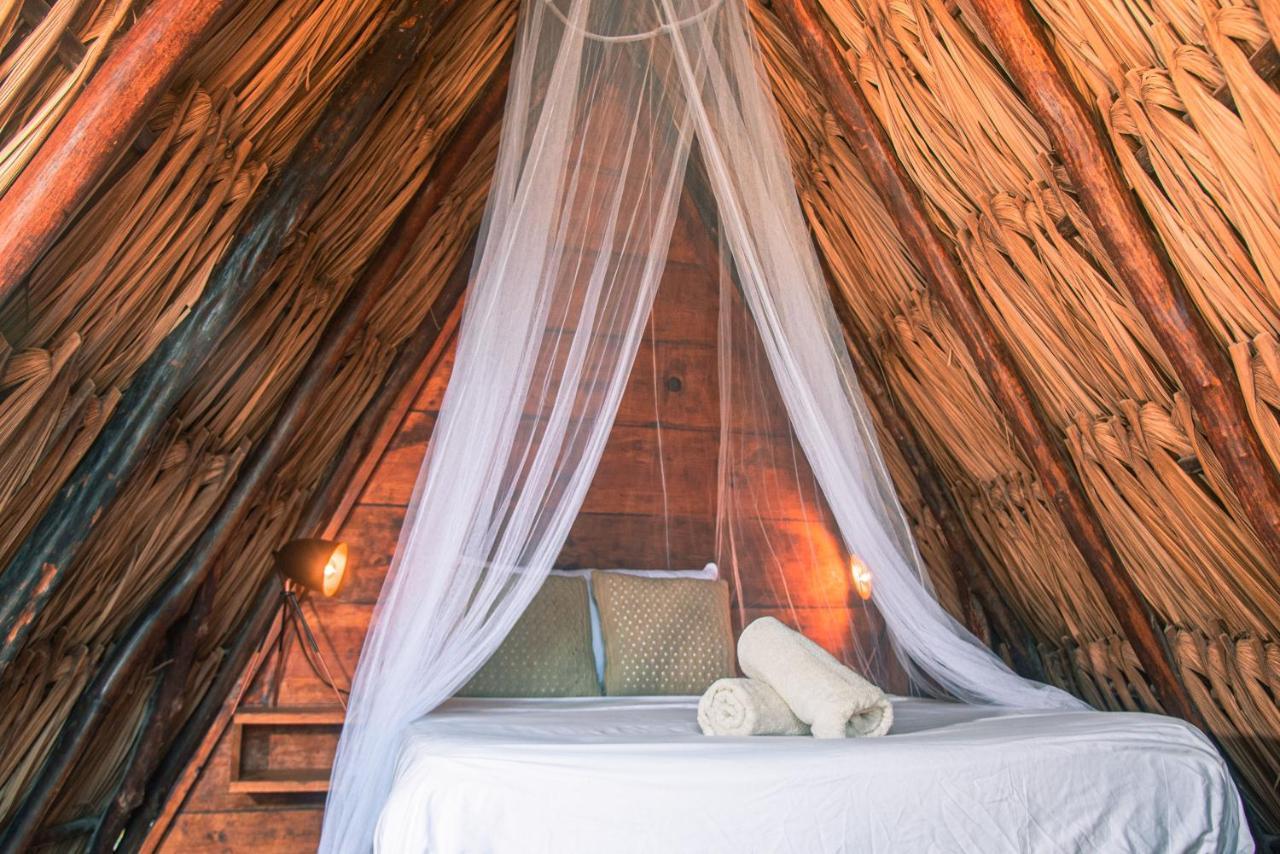 Mapache Hostel & Camping Isla Holbox Dış mekan fotoğraf