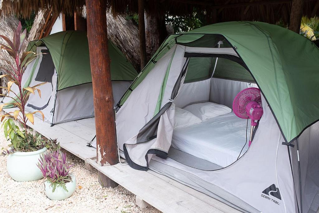 Mapache Hostel & Camping Isla Holbox Dış mekan fotoğraf