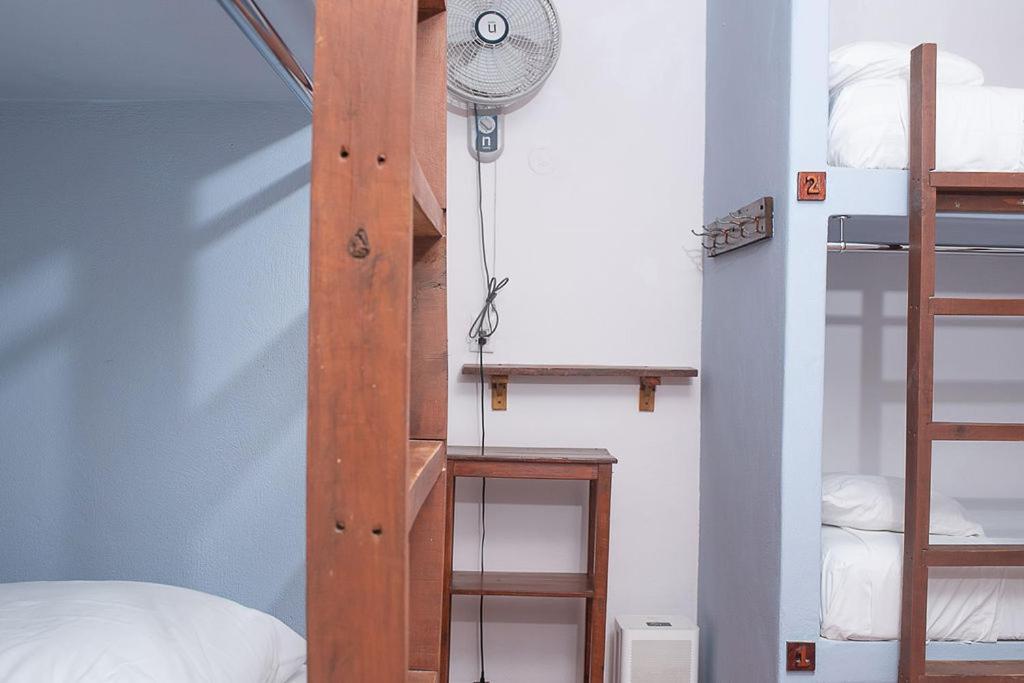 Mapache Hostel & Camping Isla Holbox Dış mekan fotoğraf
