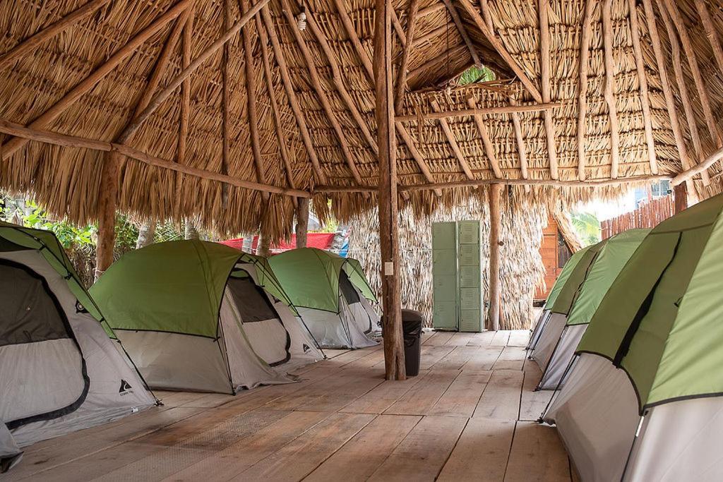 Mapache Hostel & Camping Isla Holbox Dış mekan fotoğraf