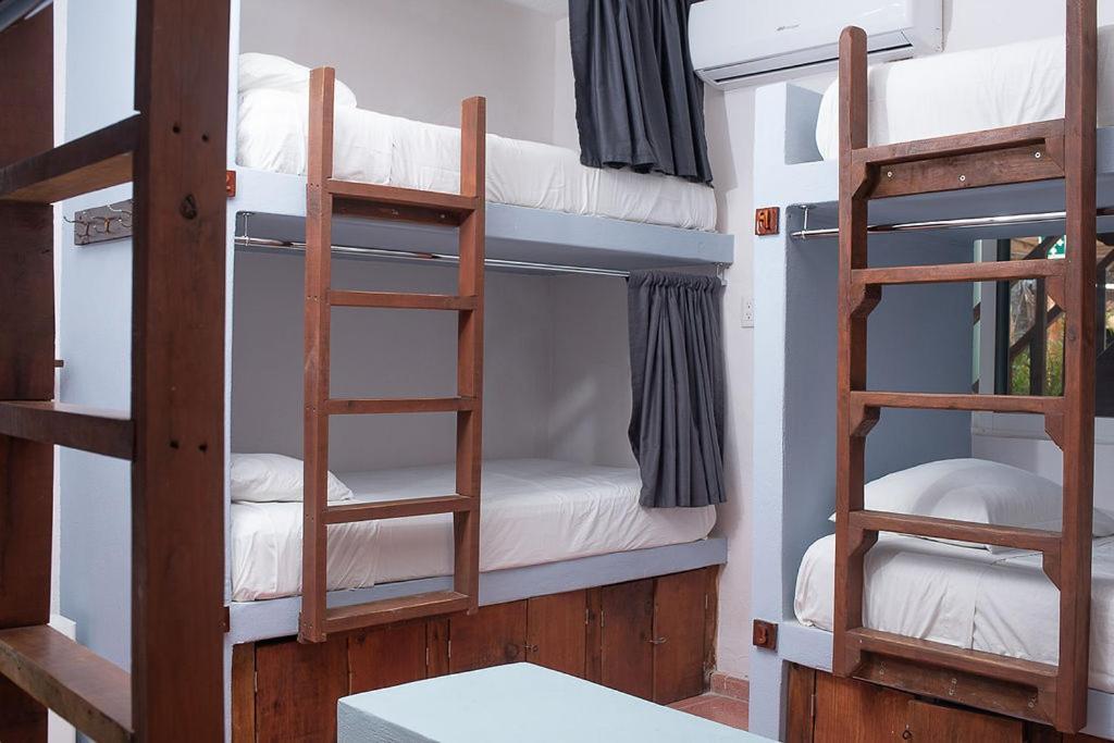 Mapache Hostel & Camping Isla Holbox Dış mekan fotoğraf