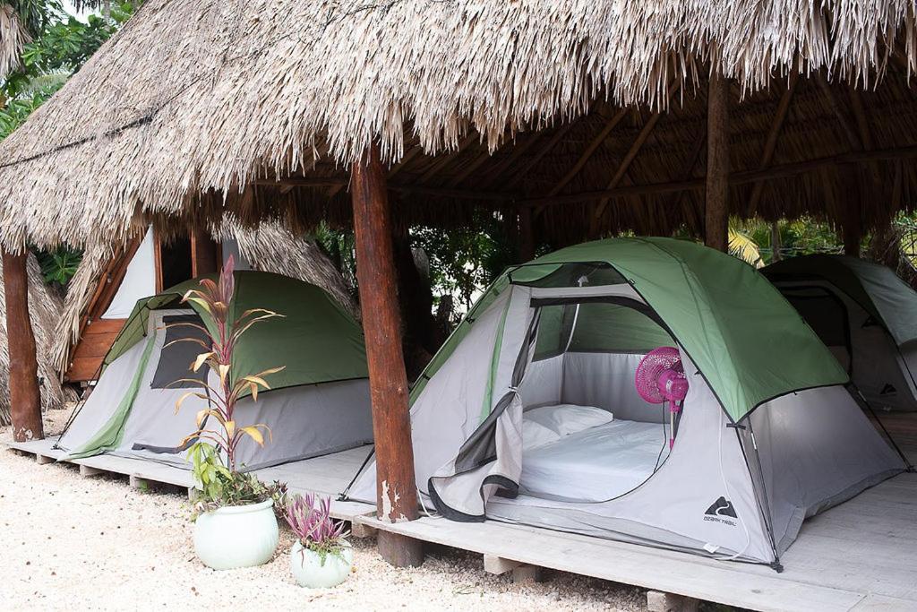 Mapache Hostel & Camping Isla Holbox Dış mekan fotoğraf