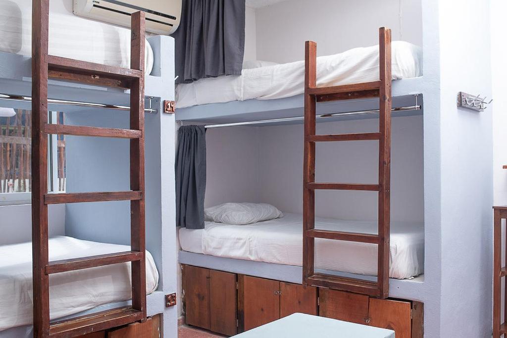 Mapache Hostel & Camping Isla Holbox Dış mekan fotoğraf