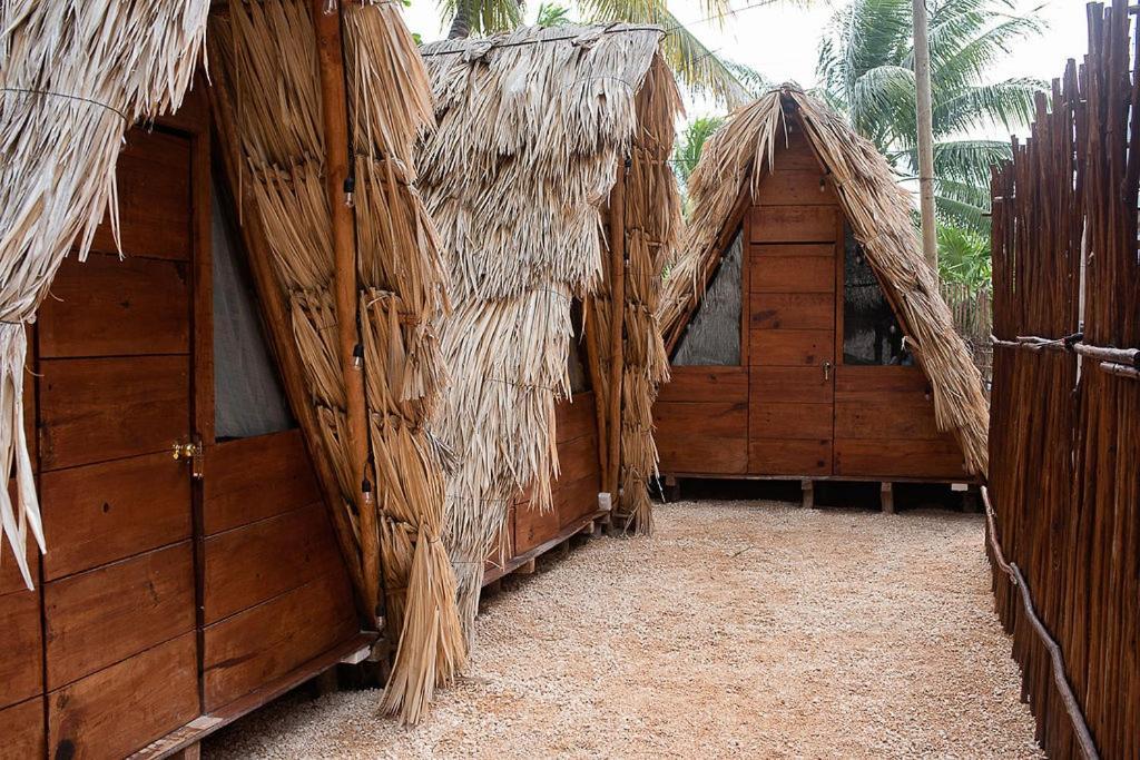 Mapache Hostel & Camping Isla Holbox Dış mekan fotoğraf