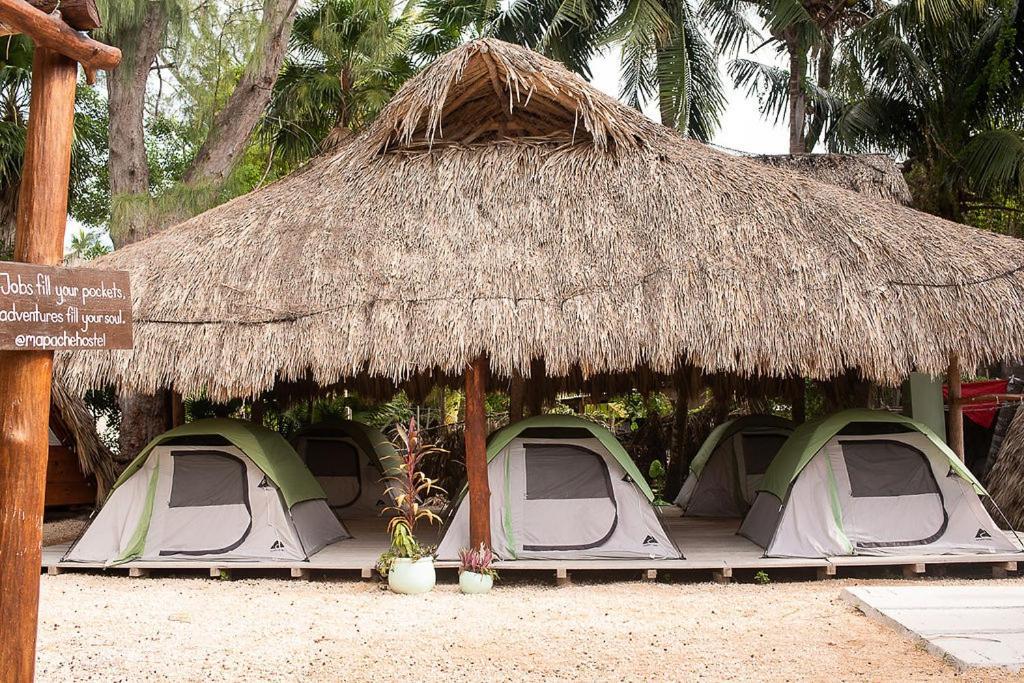 Mapache Hostel & Camping Isla Holbox Dış mekan fotoğraf